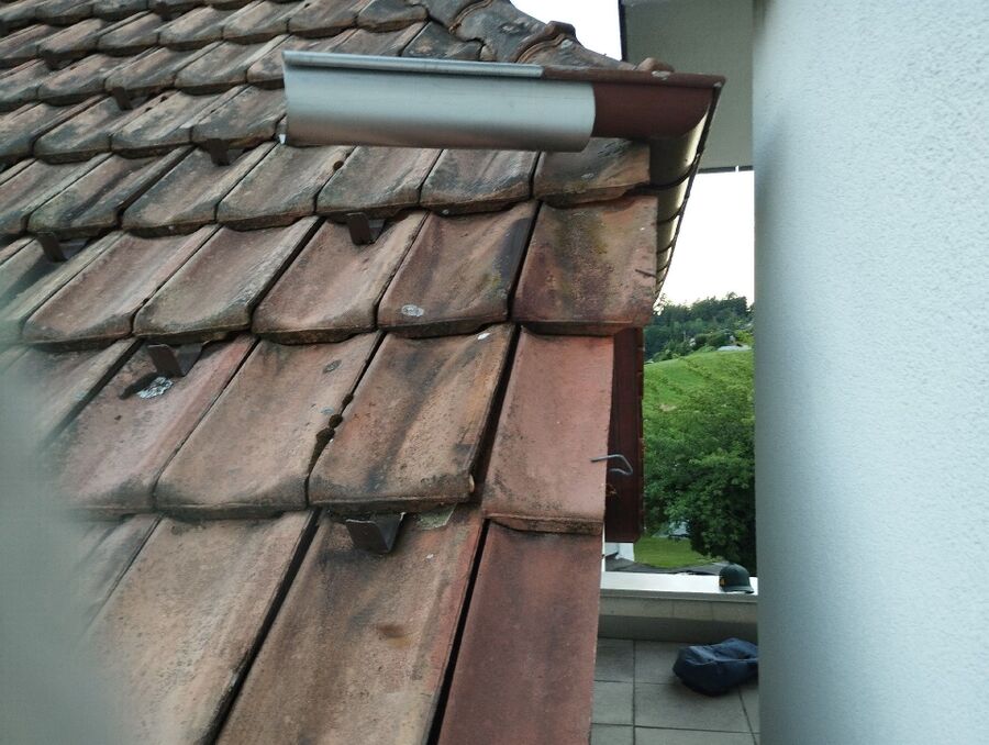  Bienennest entfernen.jpeg