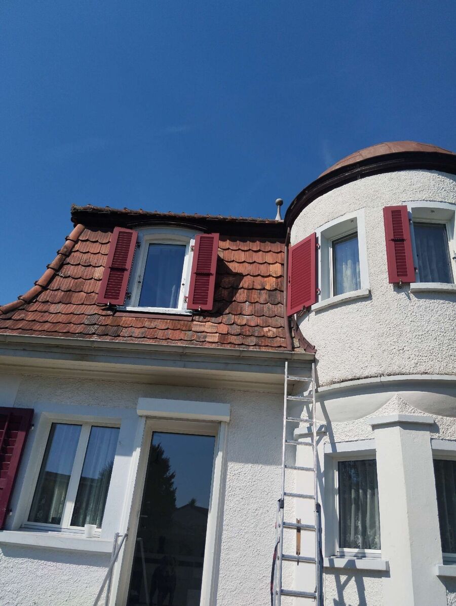  Bienennest entfernen.jpeg