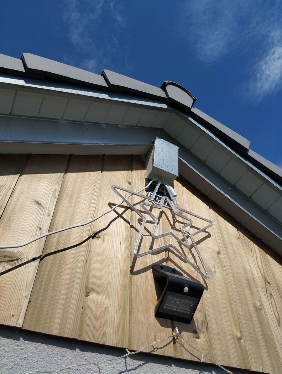  Bienennest entfernen.jpeg