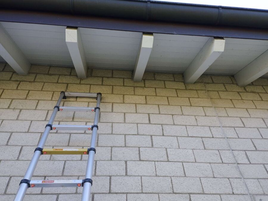  Bienennest entfernen.jpeg