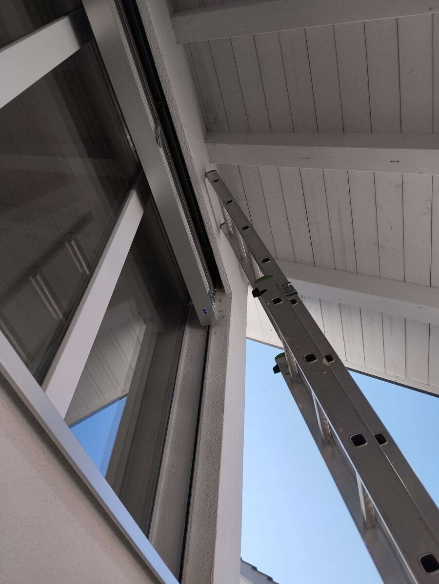  Bienennest entfernen