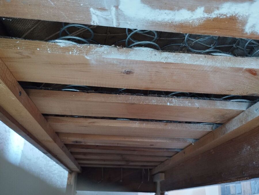  Bienennest entfernen