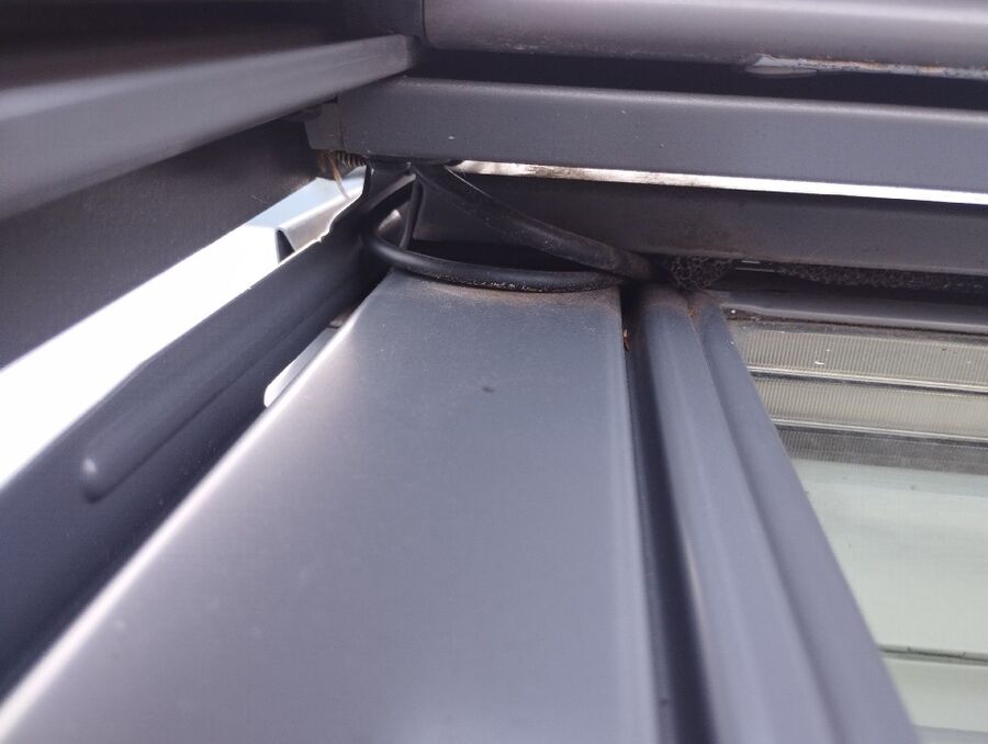  Bienennest entfernen.jpeg