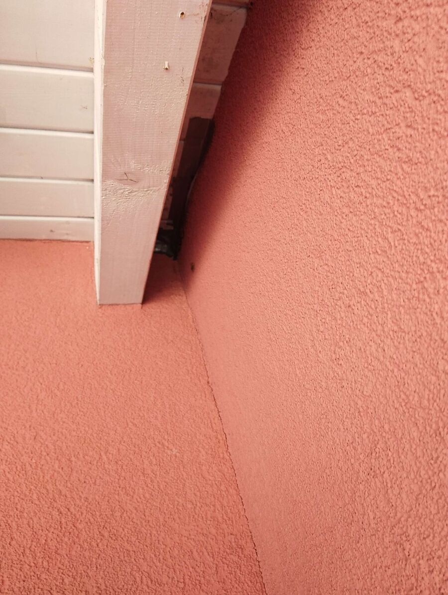  Bienennest entfernen.jpeg