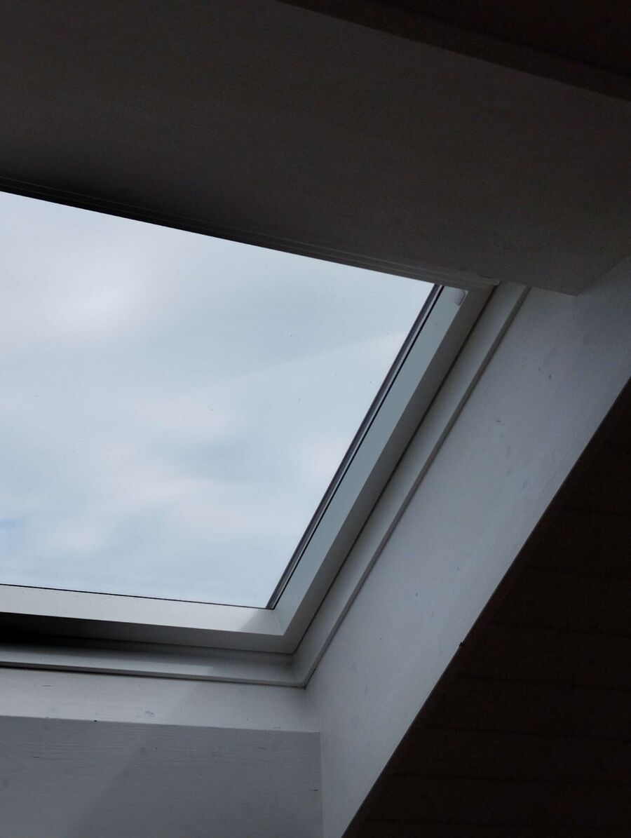  Bienennest entfernen