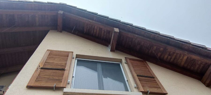  Bienennest entfernen.jpeg