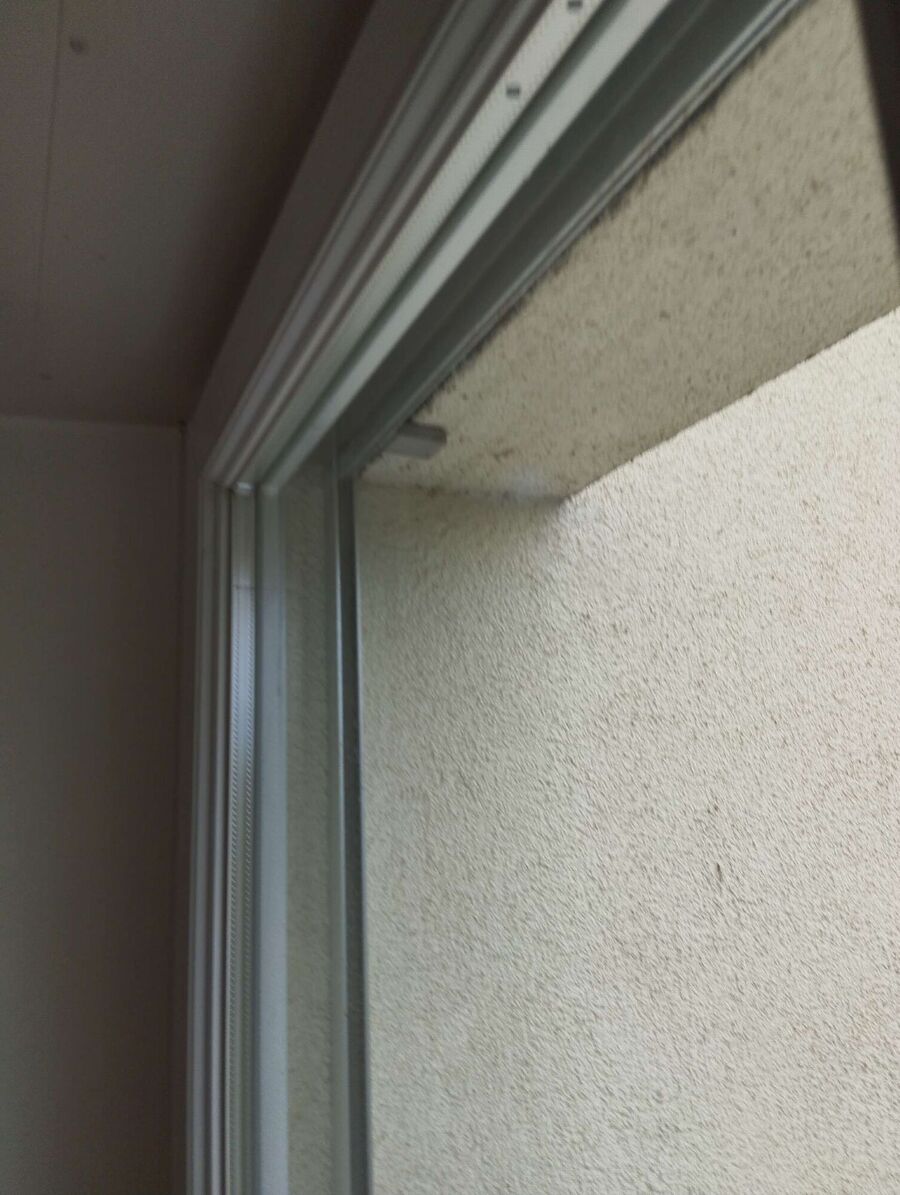 Bienen umsiedeln &  Bienennest entfernen 