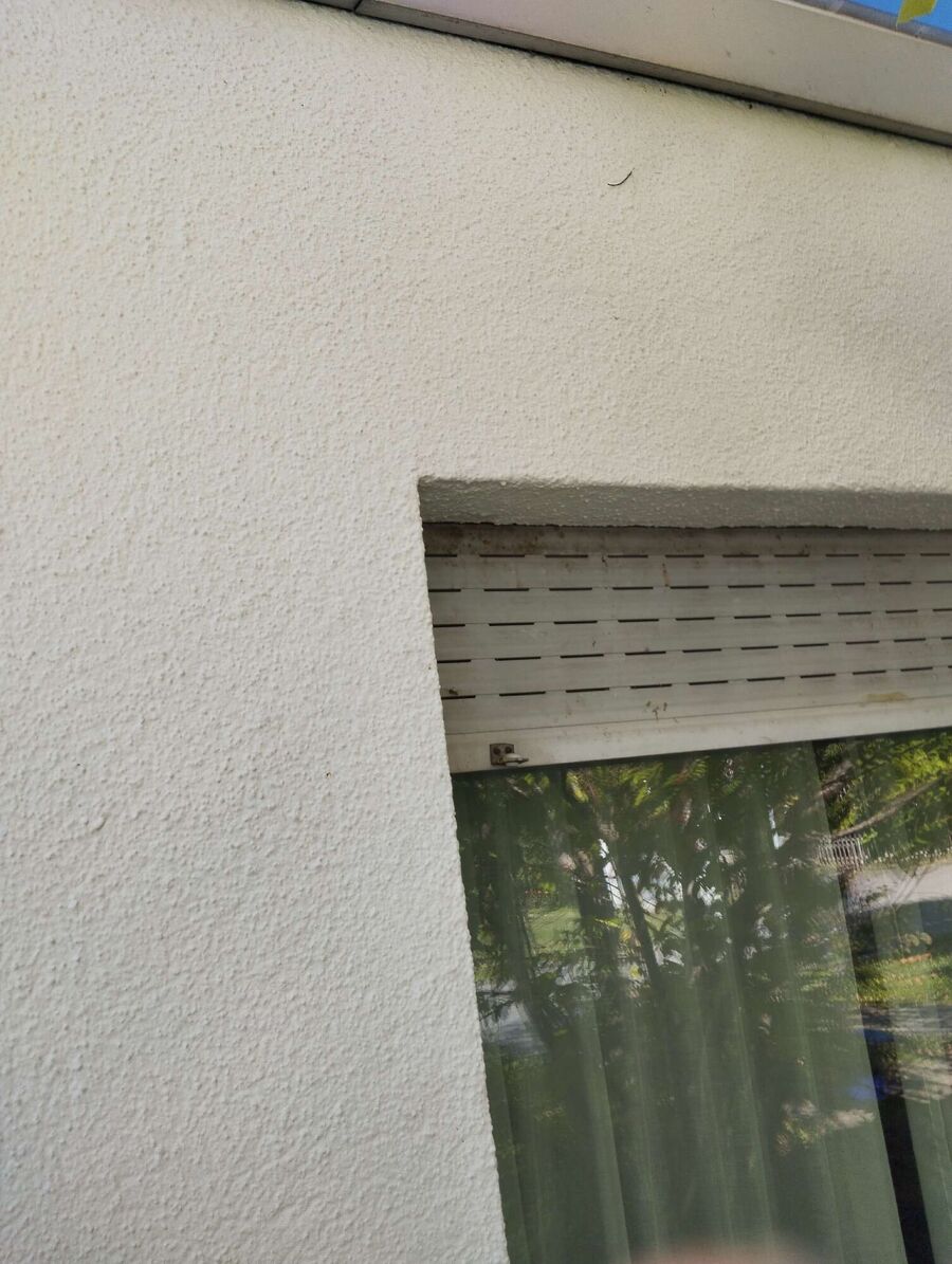  Bienennest entfernen.jpeg