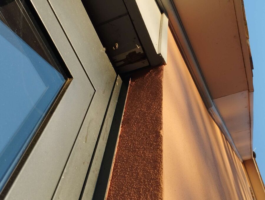 Bienen umsiedeln &  Bienennest entfernen 