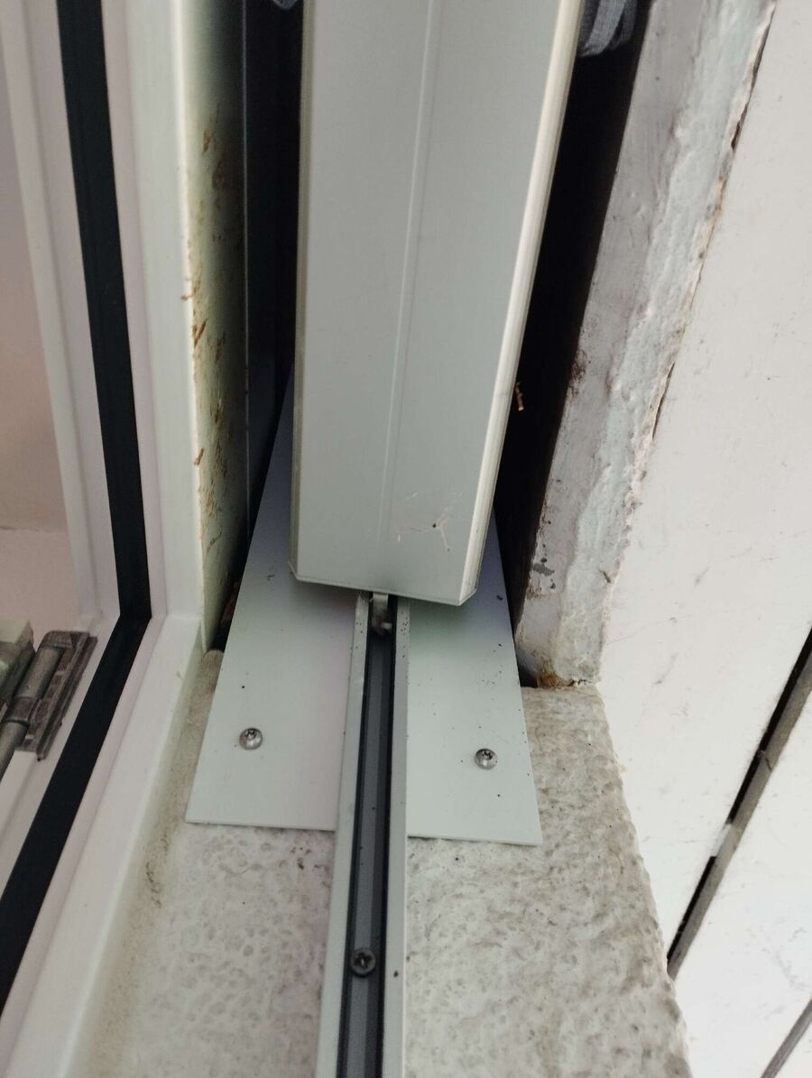  Bienennest entfernen