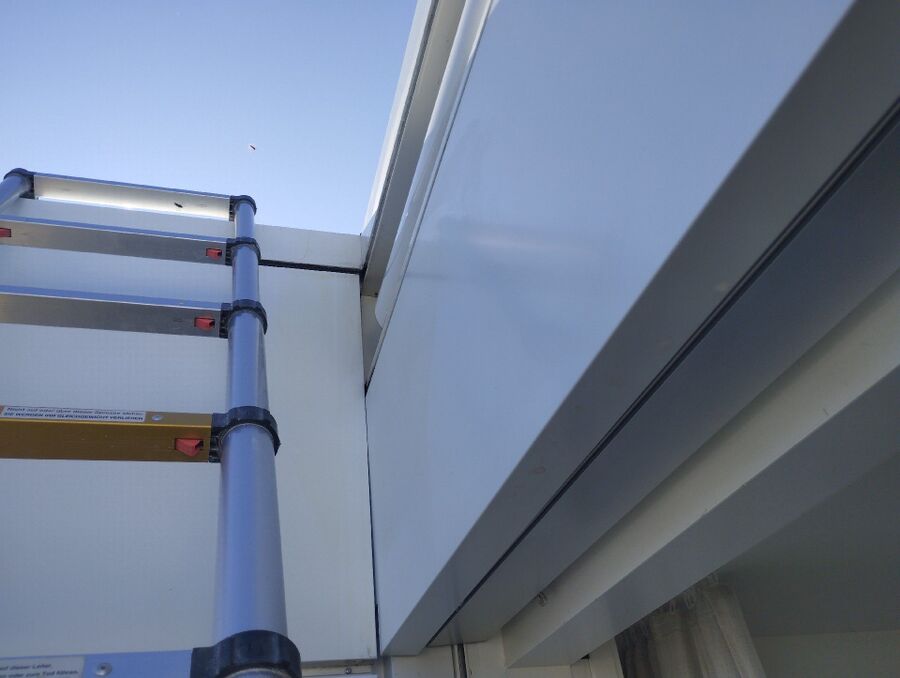 Bienen umsiedeln &  Bienennest entfernen 