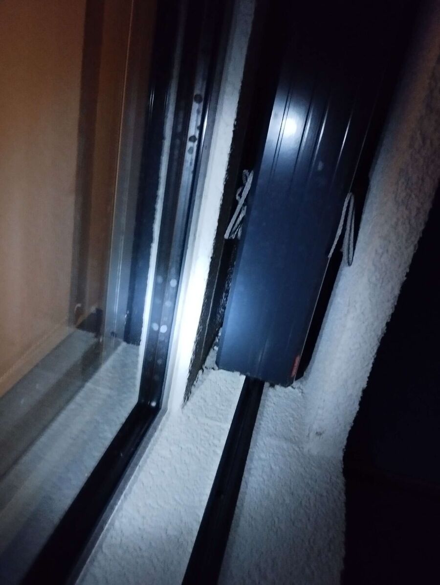  Bienennest entfernen