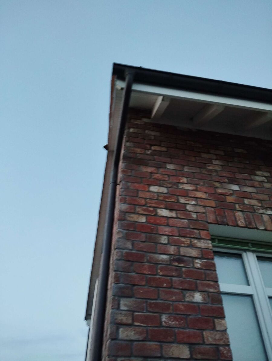  Bienennest entfernen