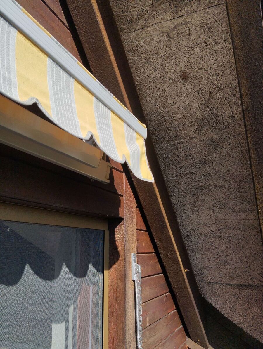 Bienen umsiedeln &  Bienennest entfernen 