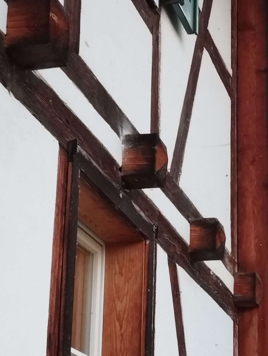  Bienennest entfernen.jpeg