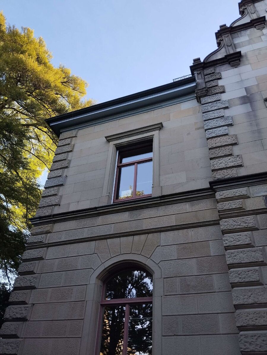  Bienennest entfernen.jpeg