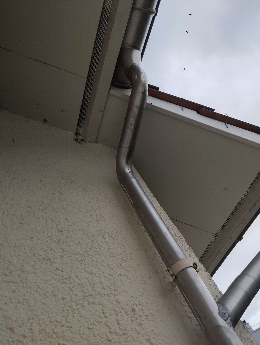  Bienennest entfernen.jpeg