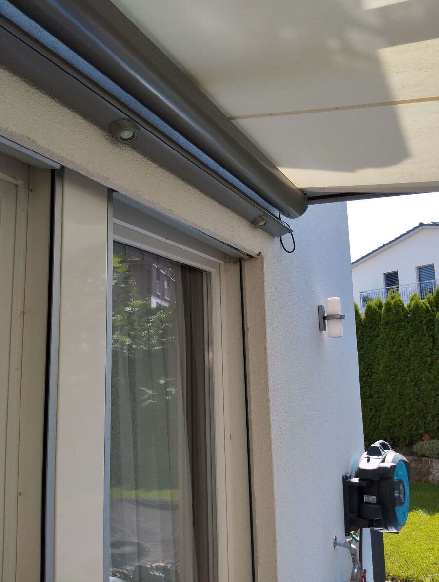  Bienennest entfernen.jpeg