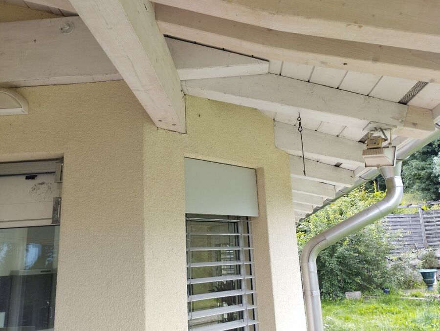  Bienennest entfernen.jpeg