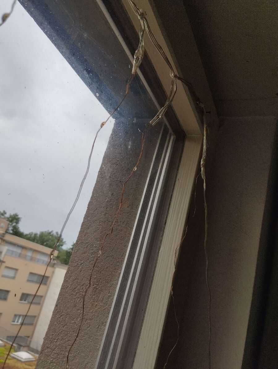  Bienennest entfernen.jpeg