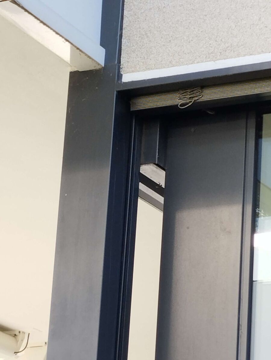  Bienennest entfernen.jpeg