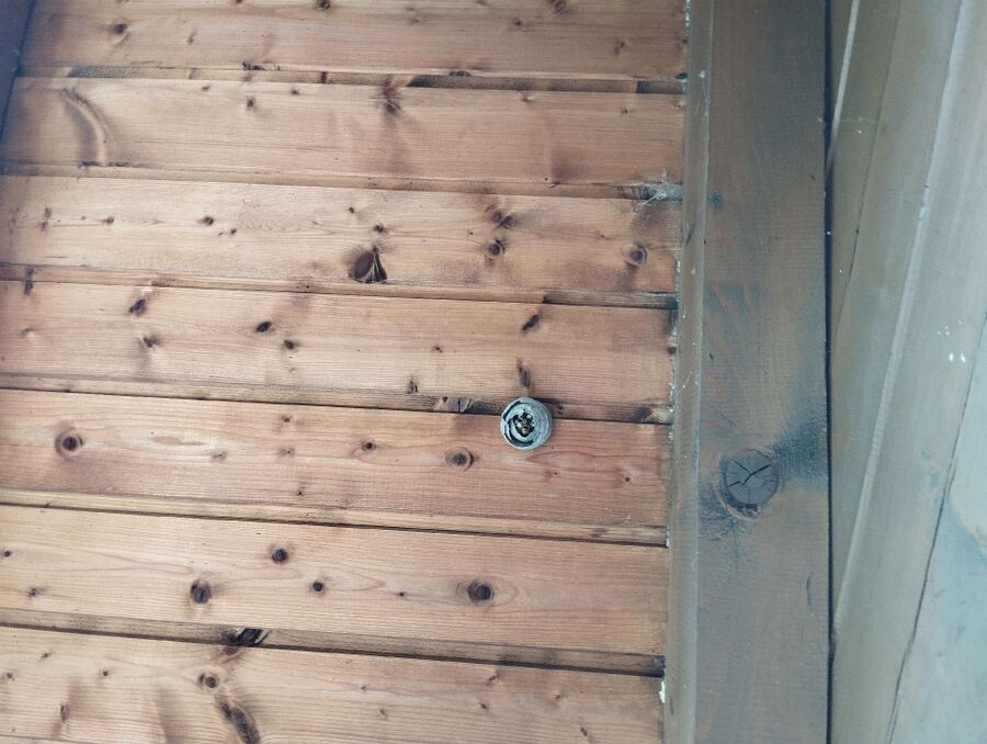  Bienennest entfernen