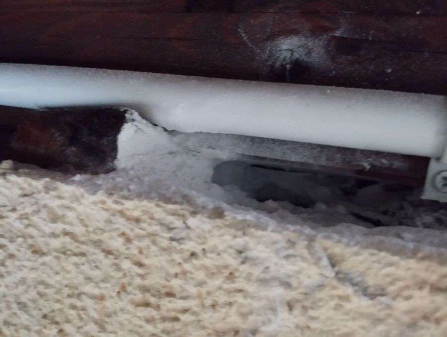  Bienennest entfernen