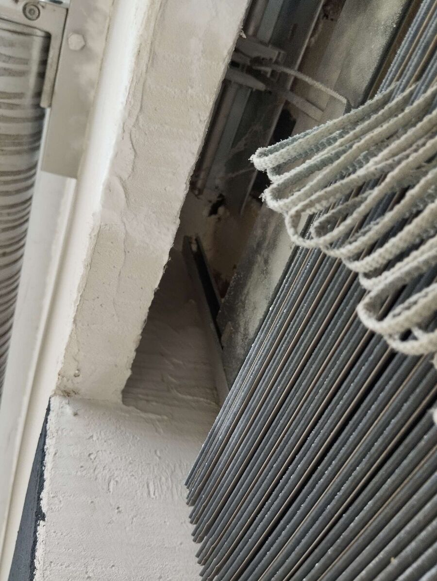 Bienen umsiedeln &  Bienennest entfernen 