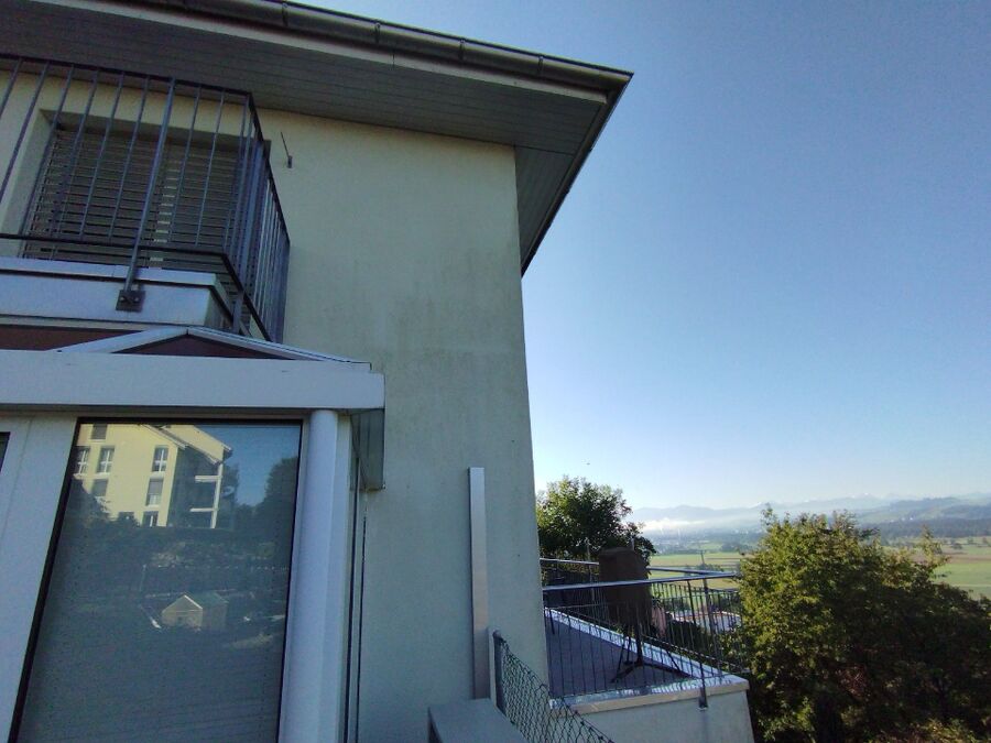 Bienen umsiedeln &  Bienennest entfernen 