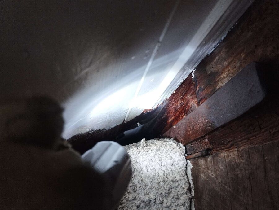  Bienennest entfernen.jpeg