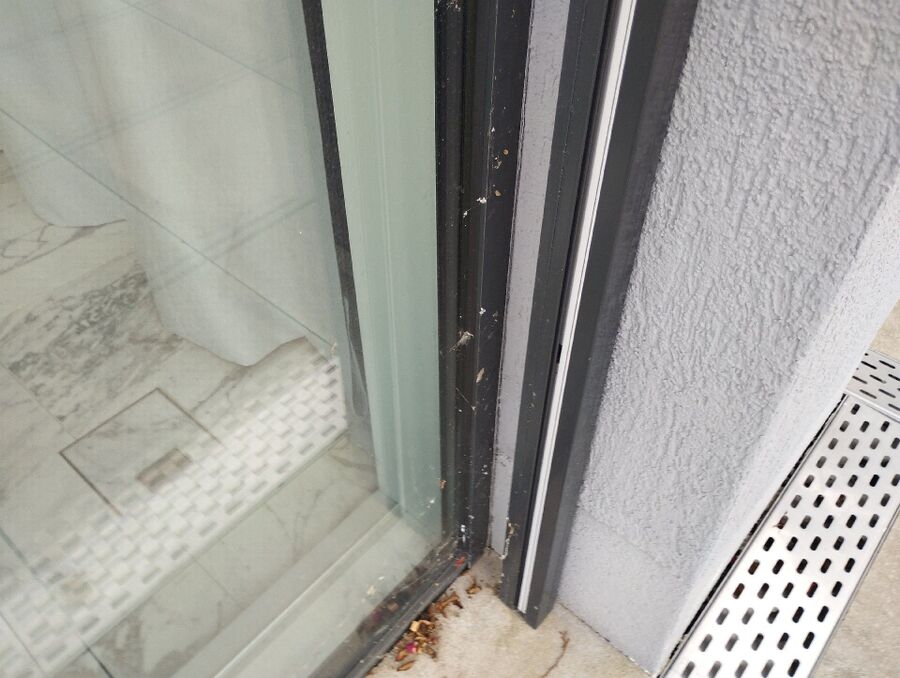  Bienennest entfernen.jpeg