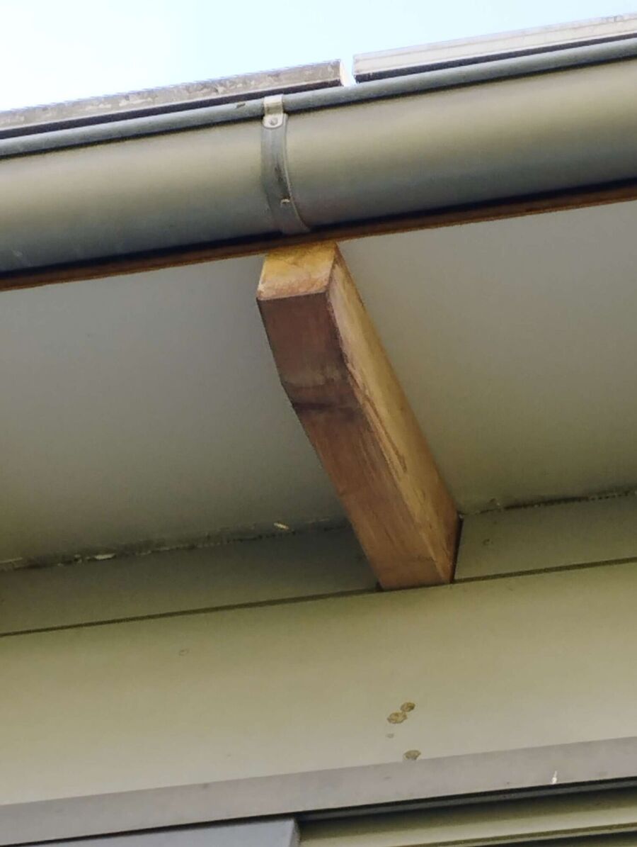  Bienennest entfernen