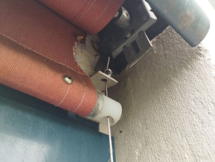  Bienennest entfernen.jpeg