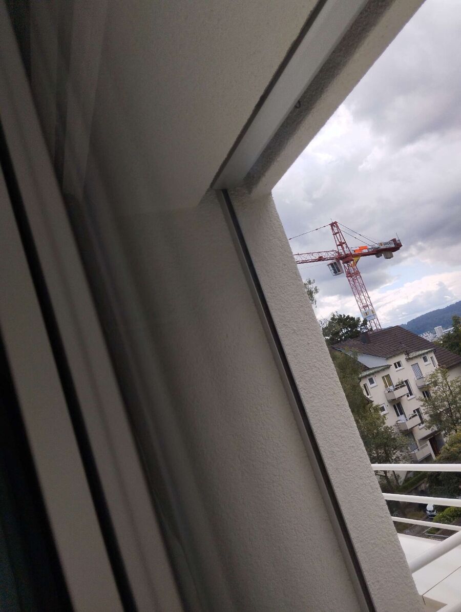  Bienennest entfernen