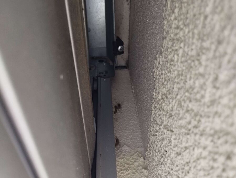  Bienennest entfernen.jpeg