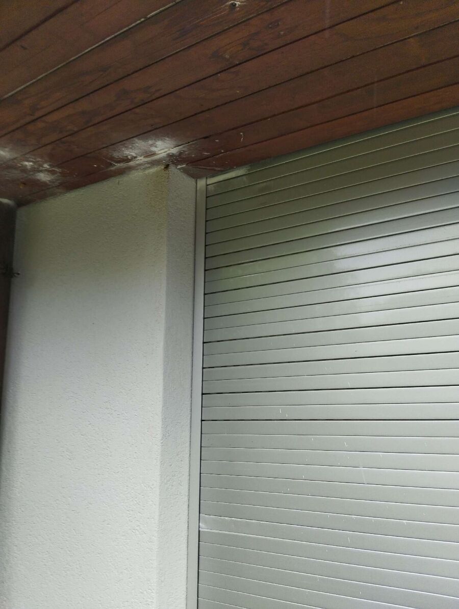 Bienen umsiedeln &  Bienennest entfernen 