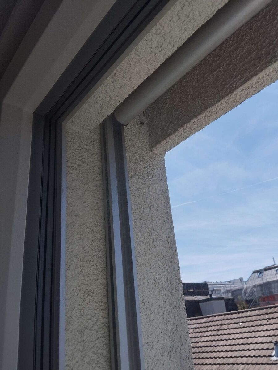  Bienennest entfernen.jpeg