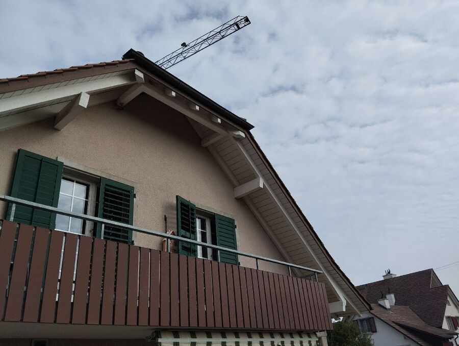  Bienennest entfernen.jpeg