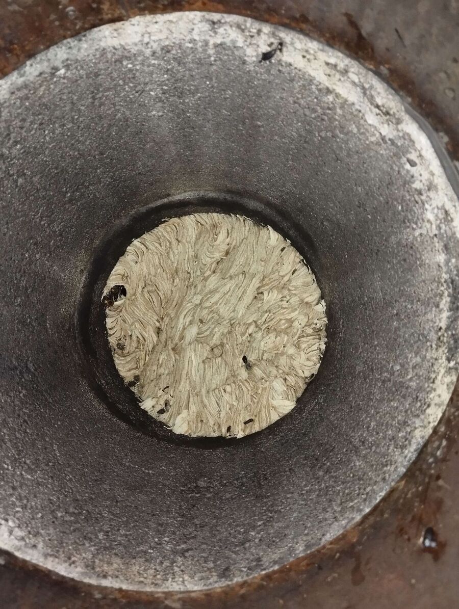  Bienennest entfernen