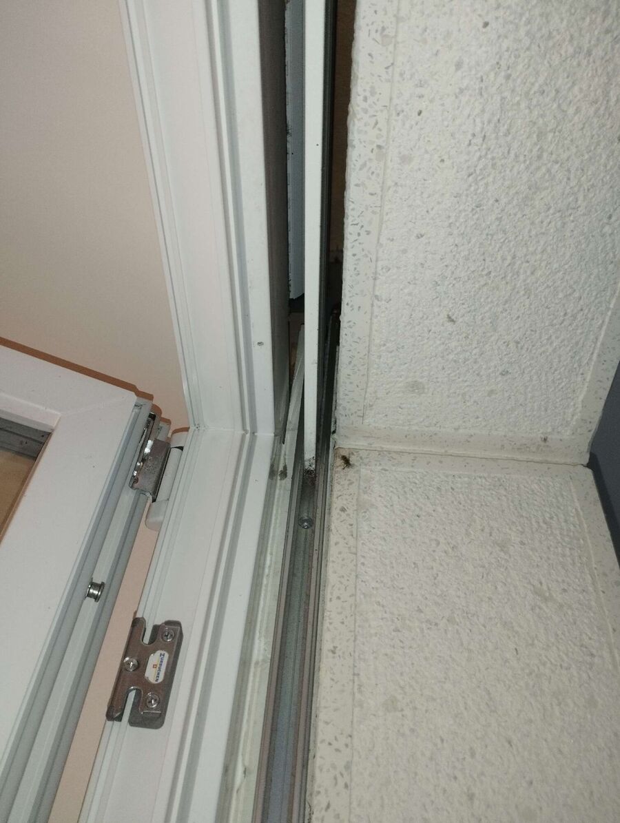  Bienennest entfernen.jpeg