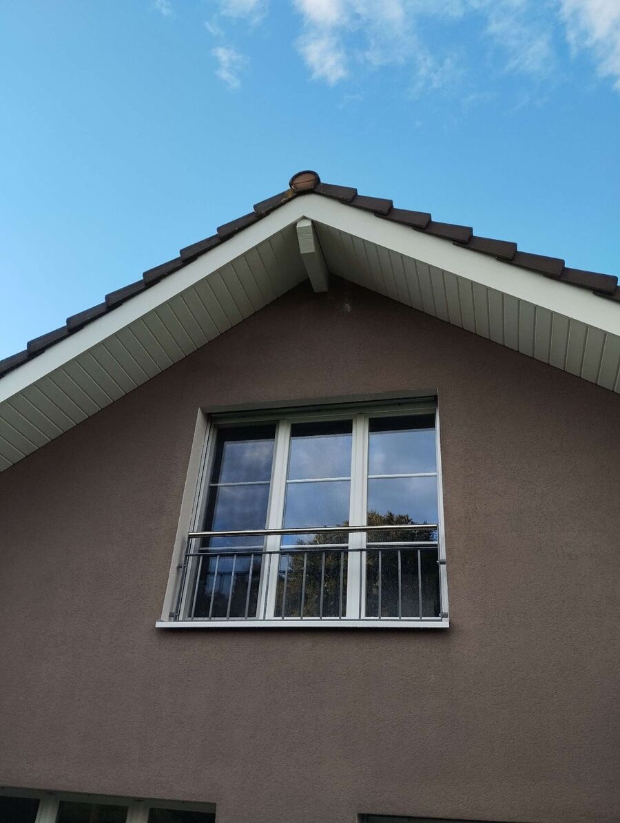 Bienen umsiedeln &  Bienennest entfernen 