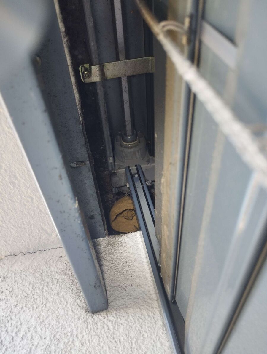  Bienennest entfernen.jpeg