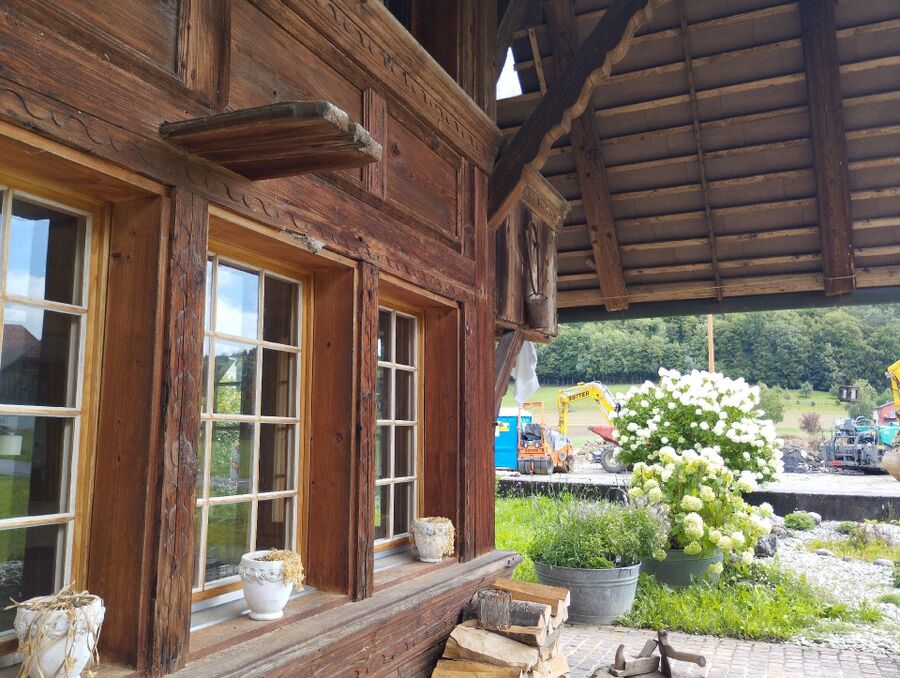  Bienennest entfernen