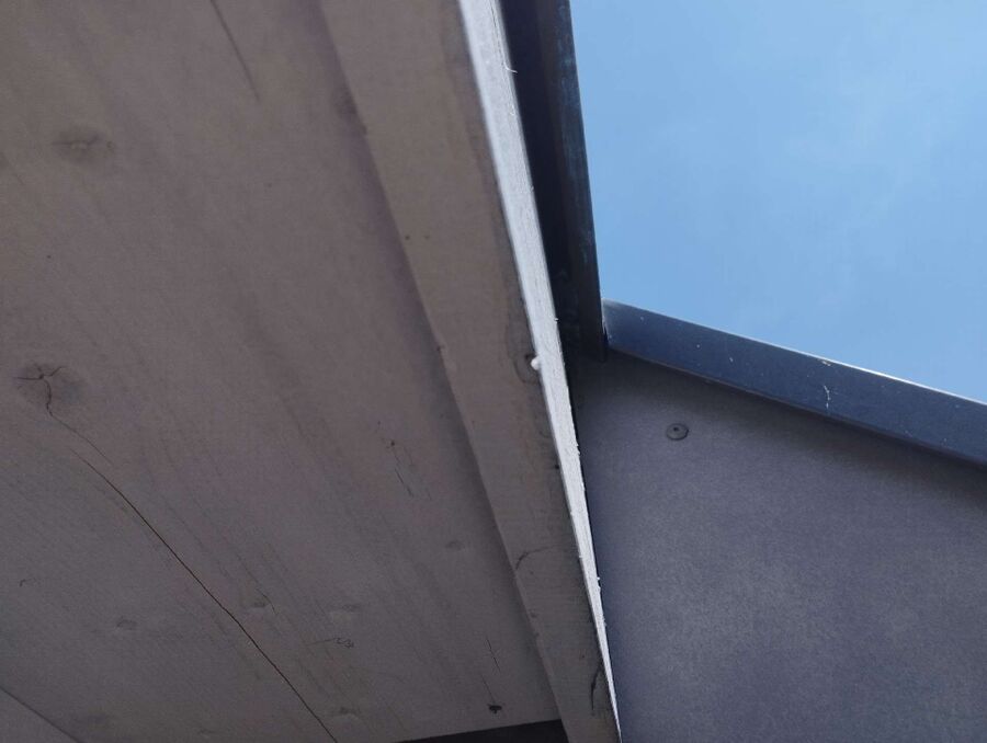  Bienennest entfernen.jpeg