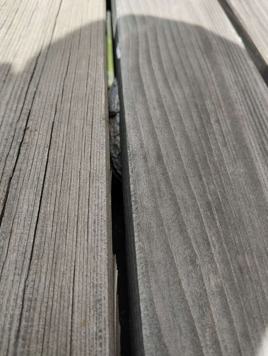 Bienen umsiedeln &  Bienennest entfernen 