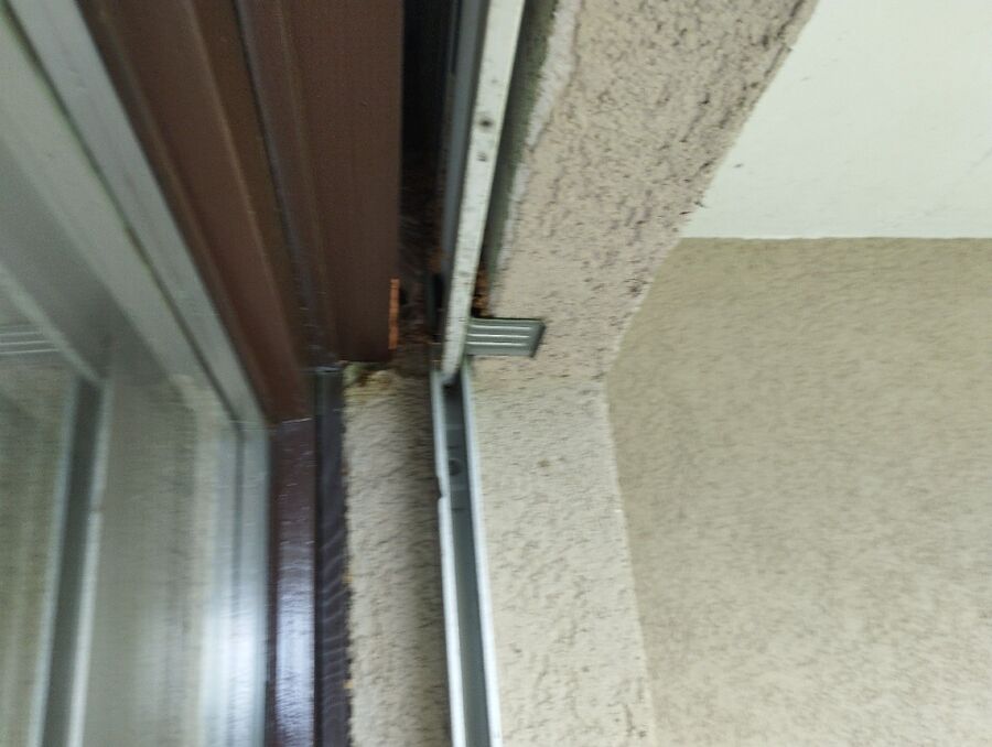  Bienennest entfernen.jpeg