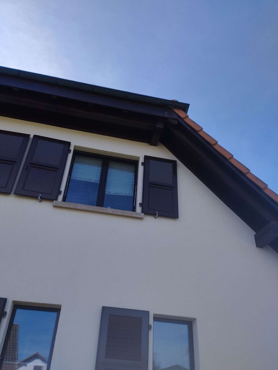  Bienennest entfernen