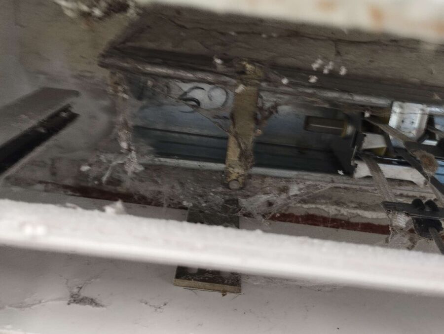  Bienennest entfernen.jpeg