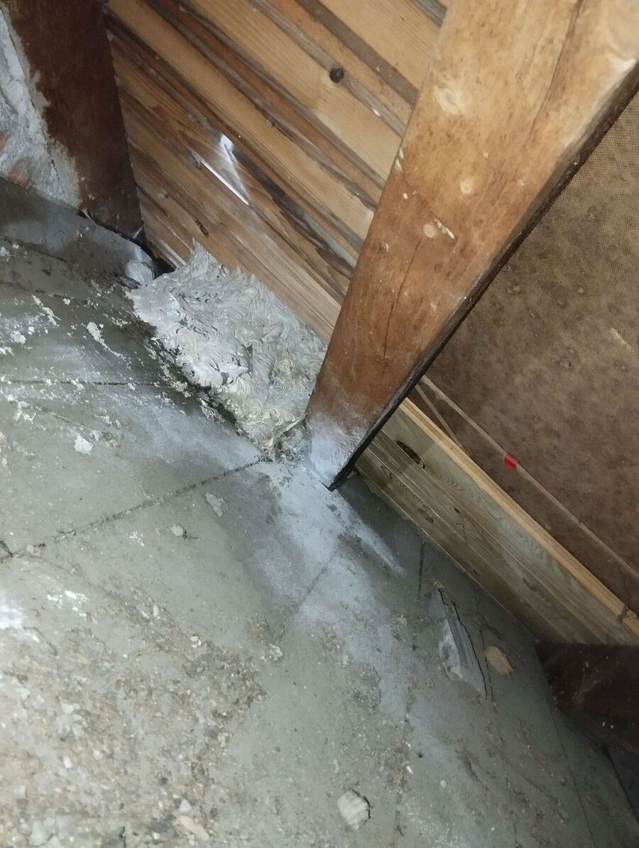  Bienennest entfernen.jpeg