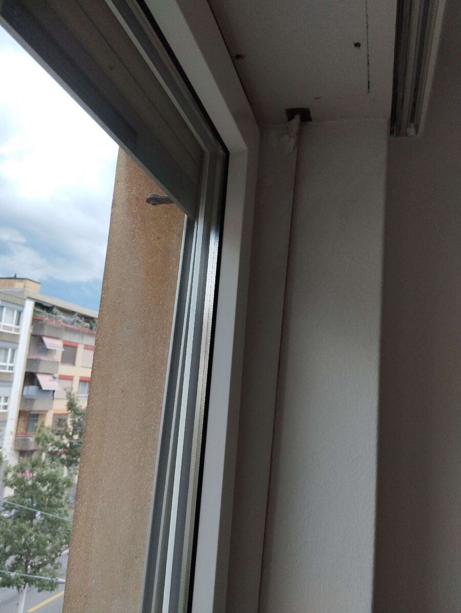  Bienennest entfernen.jpeg